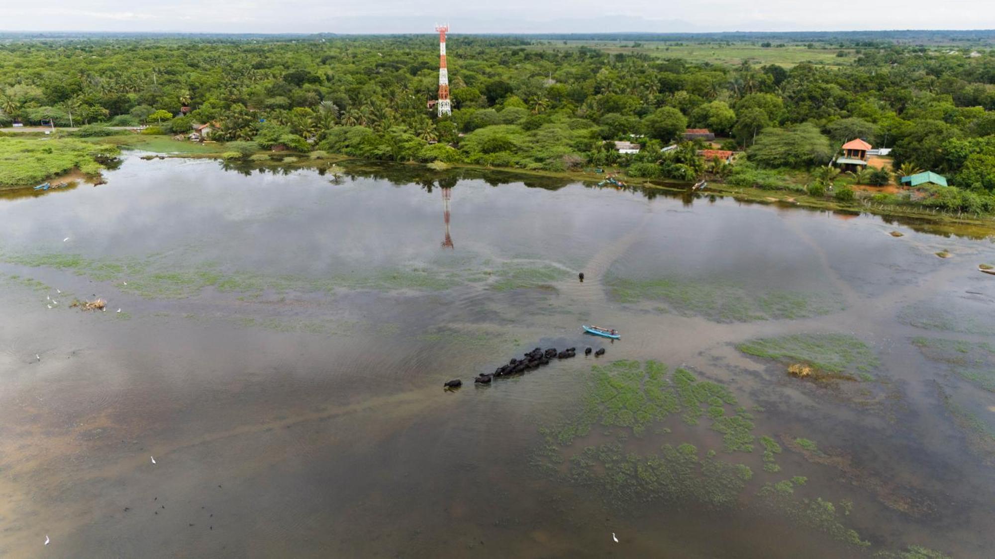 Bundala Flamingo Cotteges Hotel Hambantota Luaran gambar