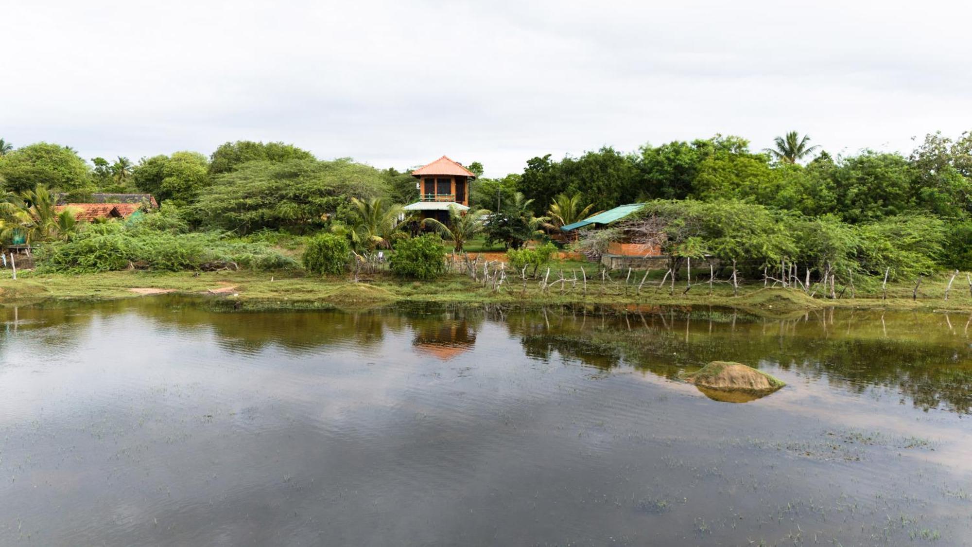 Bundala Flamingo Cotteges Hotel Hambantota Luaran gambar
